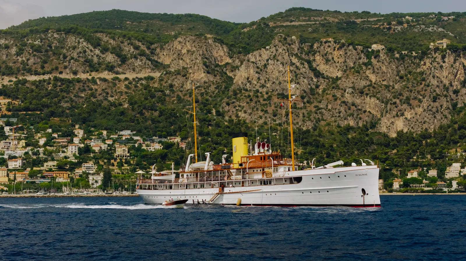 SS Delphine under way along a green stretch of coastline.